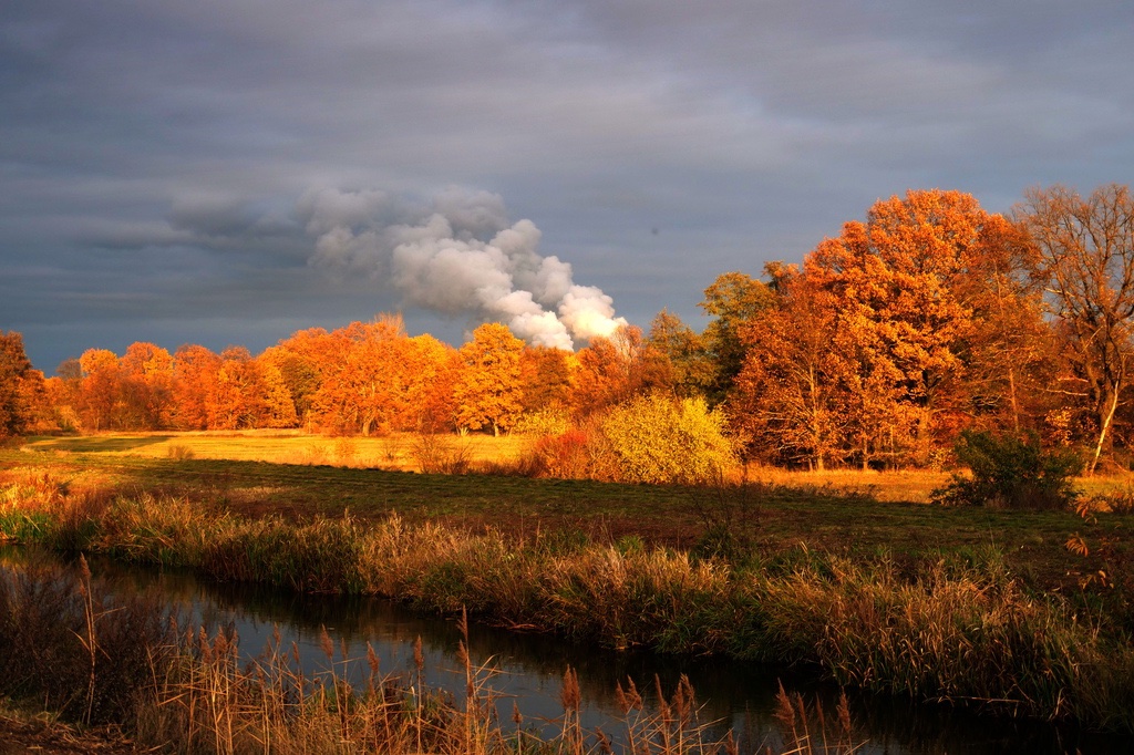 goldener-herbst-3-h-mucc88ller