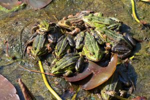 gruppentreffen-b-mocc88cker