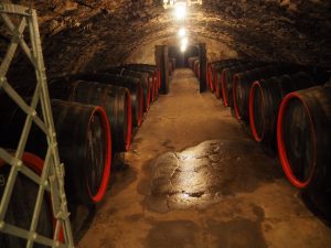 gutes-braucht-seine-zeit-bernd-opel