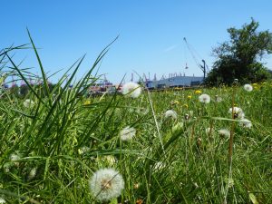 hamburg-5-bernd-opel