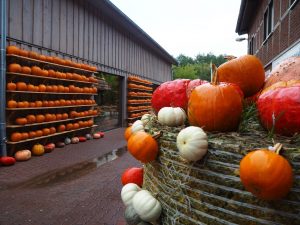 herbst-04-bernd-opel