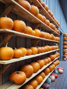 herbst-05-bernd-opel