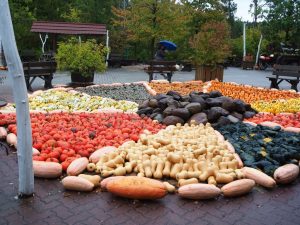 herbst-06-bernd-opel