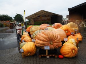 herbst-09-bernd-opel