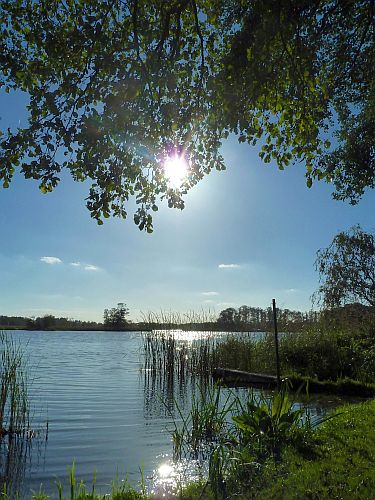 herbst-am-teich-bernd-opel