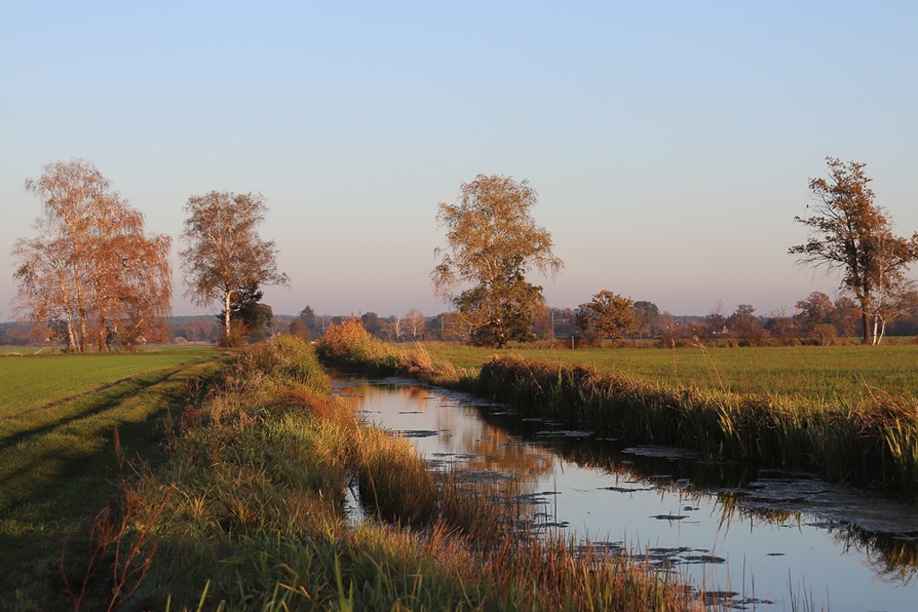 herbst-in-den-lasszinswiesen-1-r-karge_
