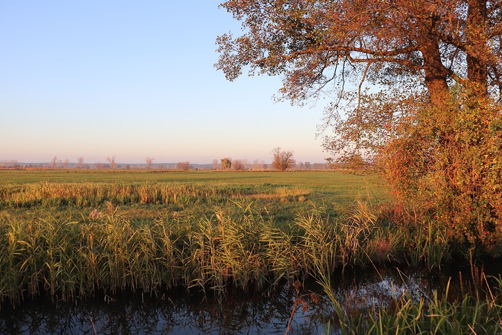 herbst-in-den-lasszinswiesen-2-r-karge_