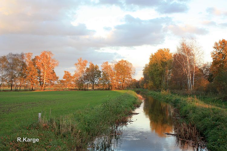 herbstabend-in-den-jaenschwalder-wiesen-r-karge_