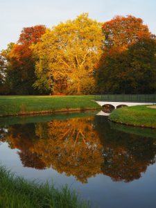 herbstfarben-6-bernd-opel
