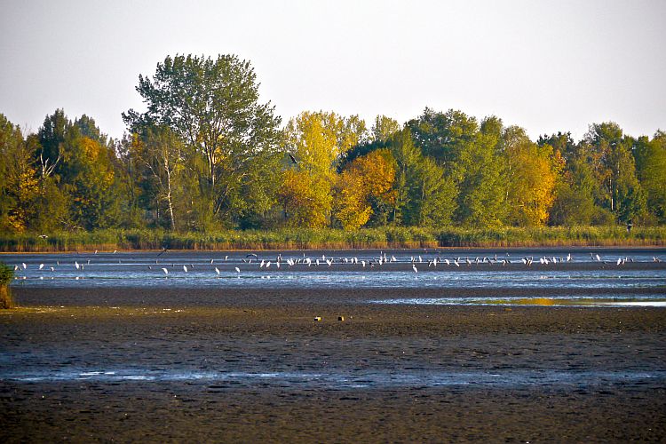herbstsimmung-am-fischteich-h-mueller