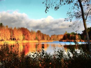 herbststimmung-an-der-garkoschke-hans-mucc88ller