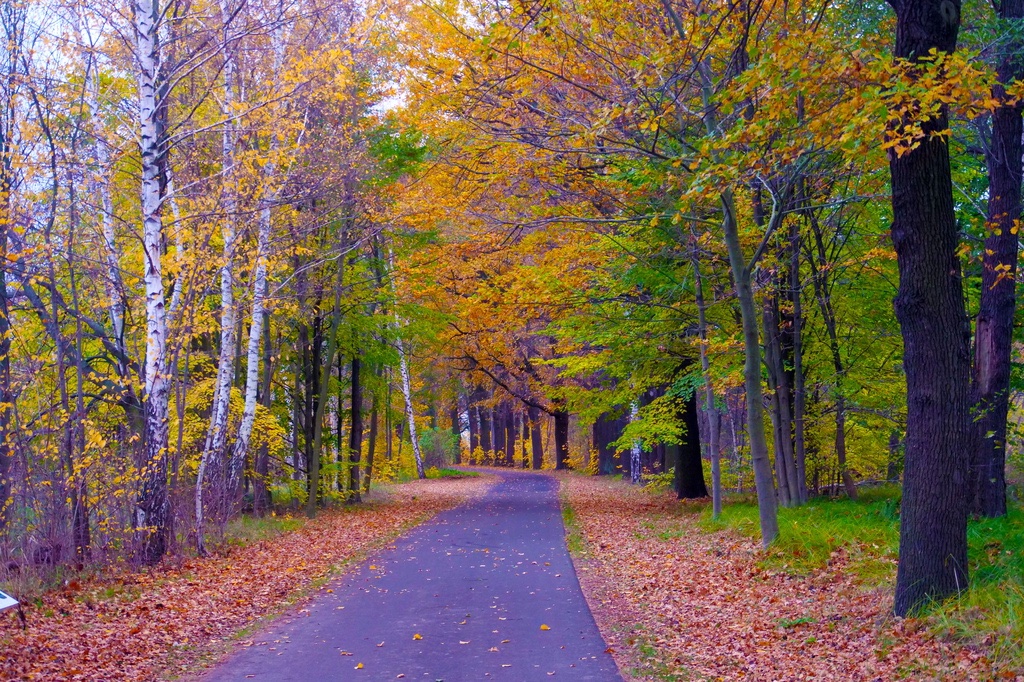 herbststimmung-h-mucc88ller