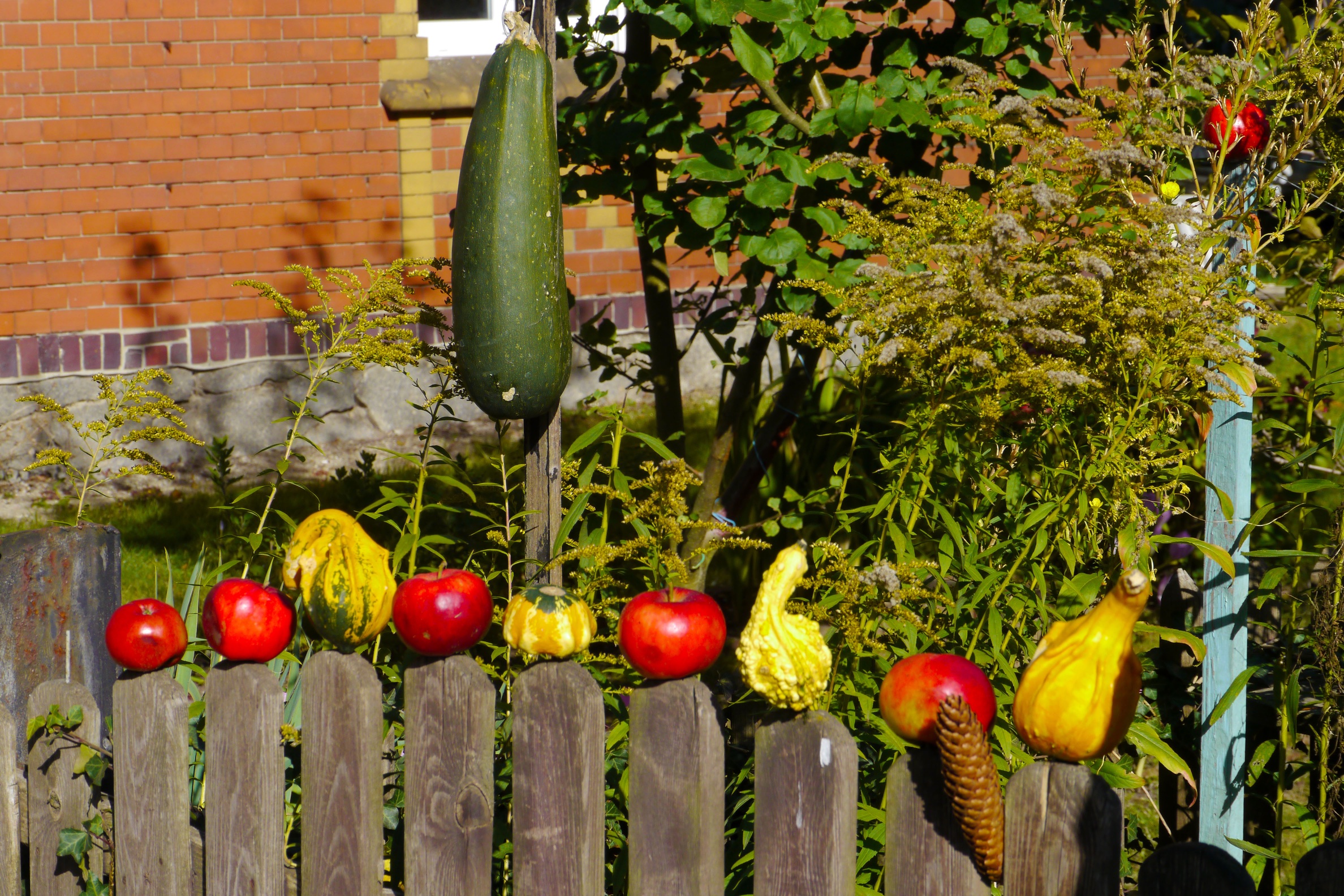 herbstzeit-1-h-mueller