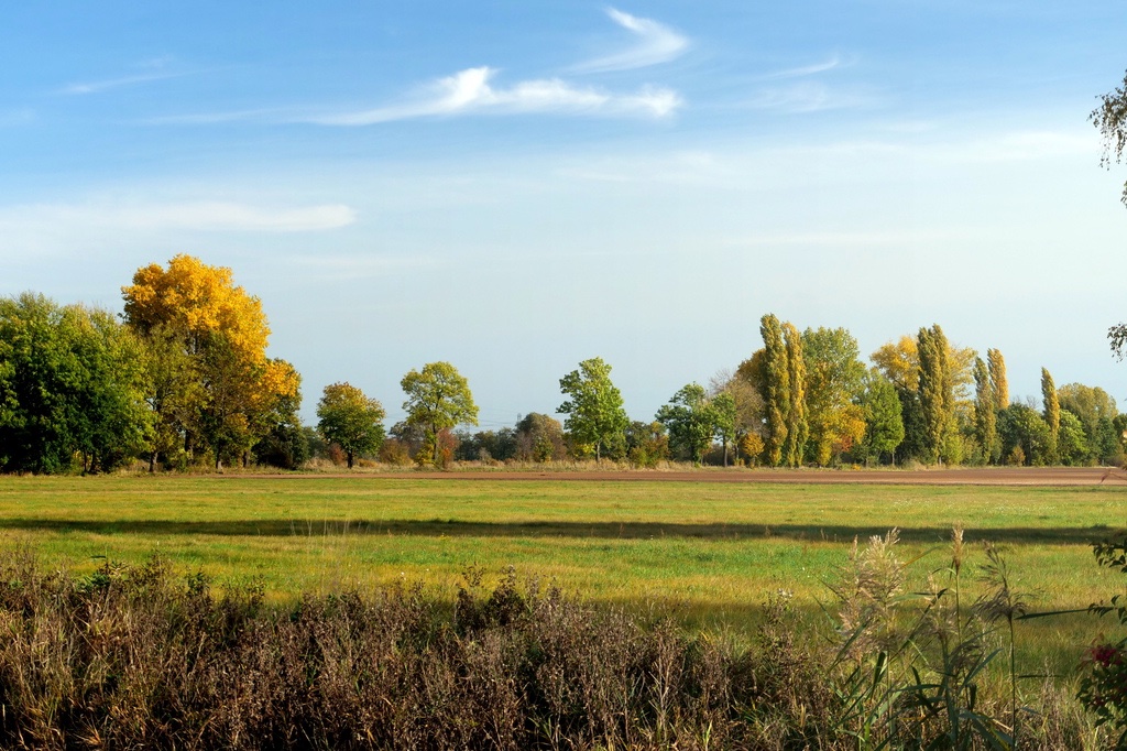 herrbst-in-den-wiesen-h-mucc88ller