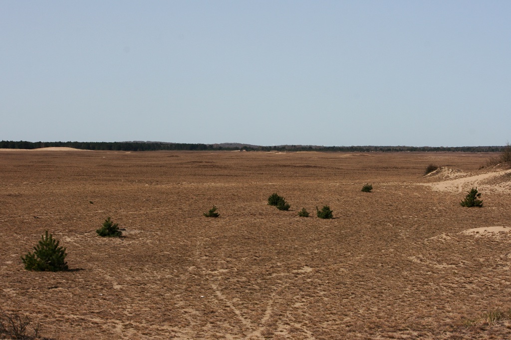 hk-moeller-lieberoser-heide-im-wandel-1