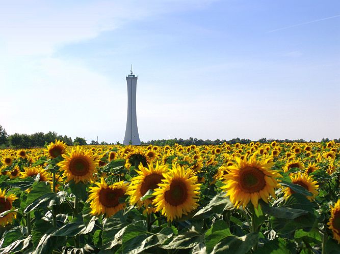 hochsommer-am-erlebnispark-k-f-muehler