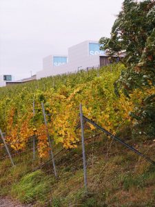 iba-terassen-in-groc39fracc88schen-2-h-mucc88ller