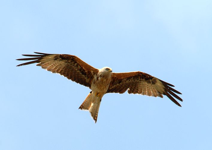 im-anflug-k-lange