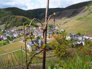 im-arltal-bernd-opel