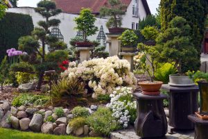 im-bonsaigarten-h-mueller