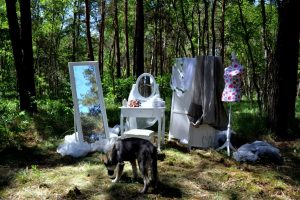 im-mc3a4rchenwald-p-fritsch