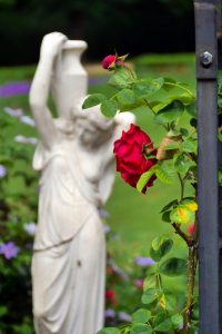 im-rosengarten-forst-h-mucc88ller