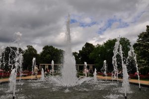 im-rosengarten-forst-k-lange