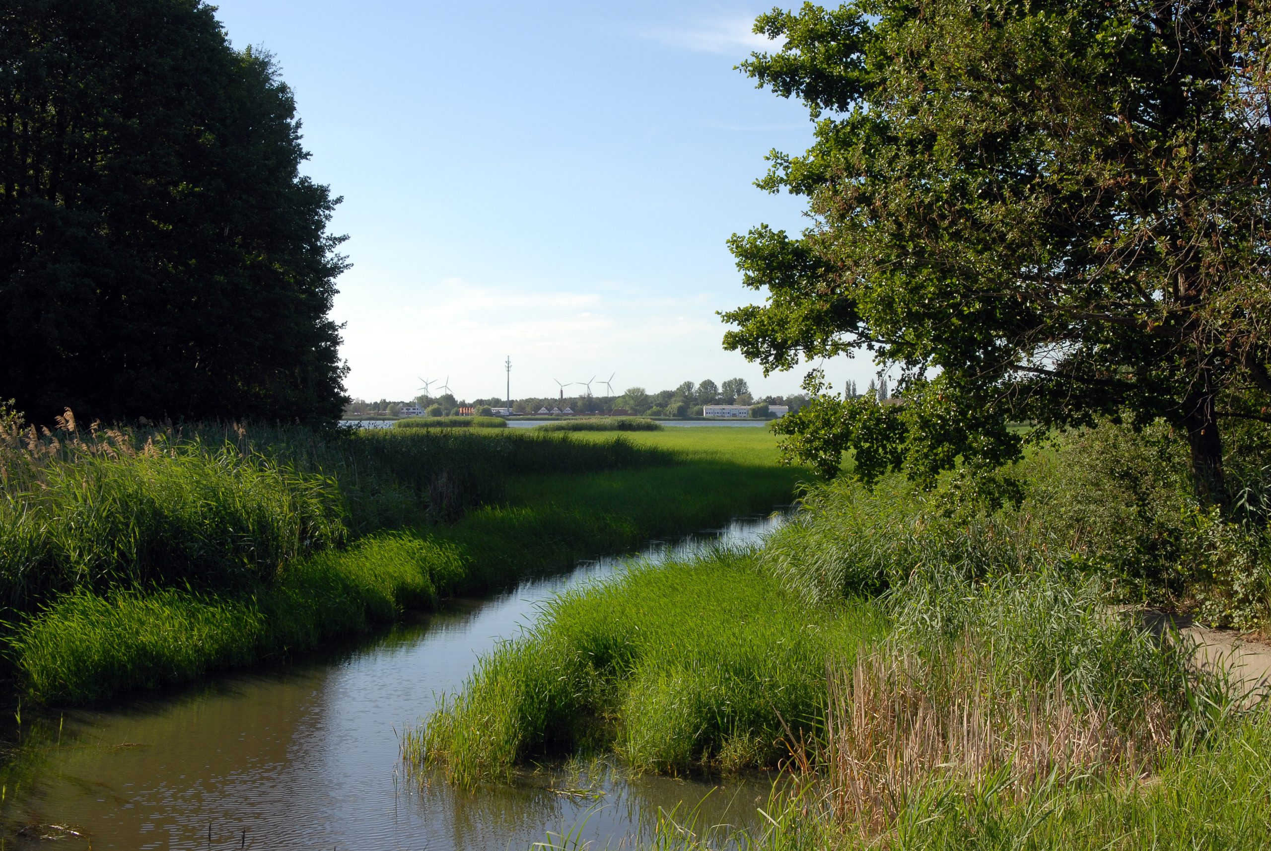 im-teichgebiet-n-kubicke