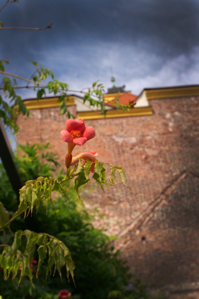 impressionen-an-der-peitzer-festung-h-mucc88ller