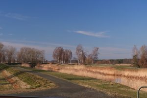 in-der-elsteraue-1-h-mucc88ller