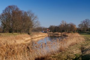 in-der-elsteraue-2-h-mucc88ller