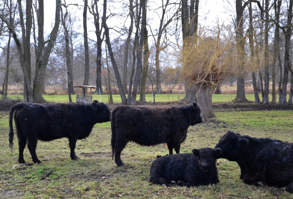 in-familie-p-fritsch