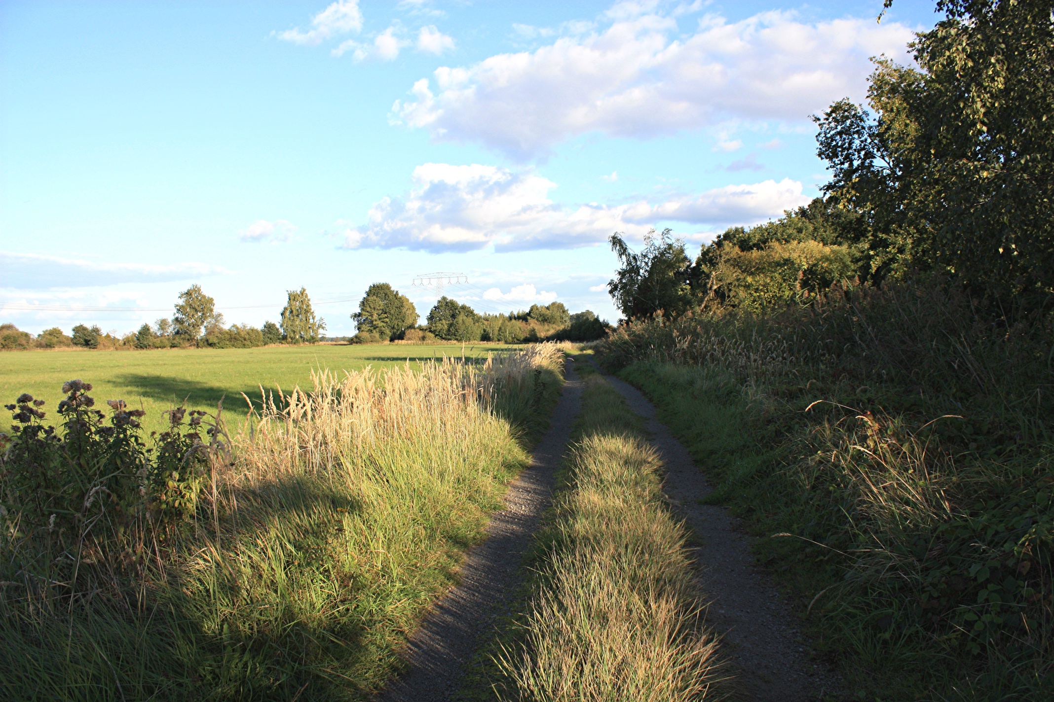 jaenschwalde-feldweg-lasztzinswiesen-r-karge_