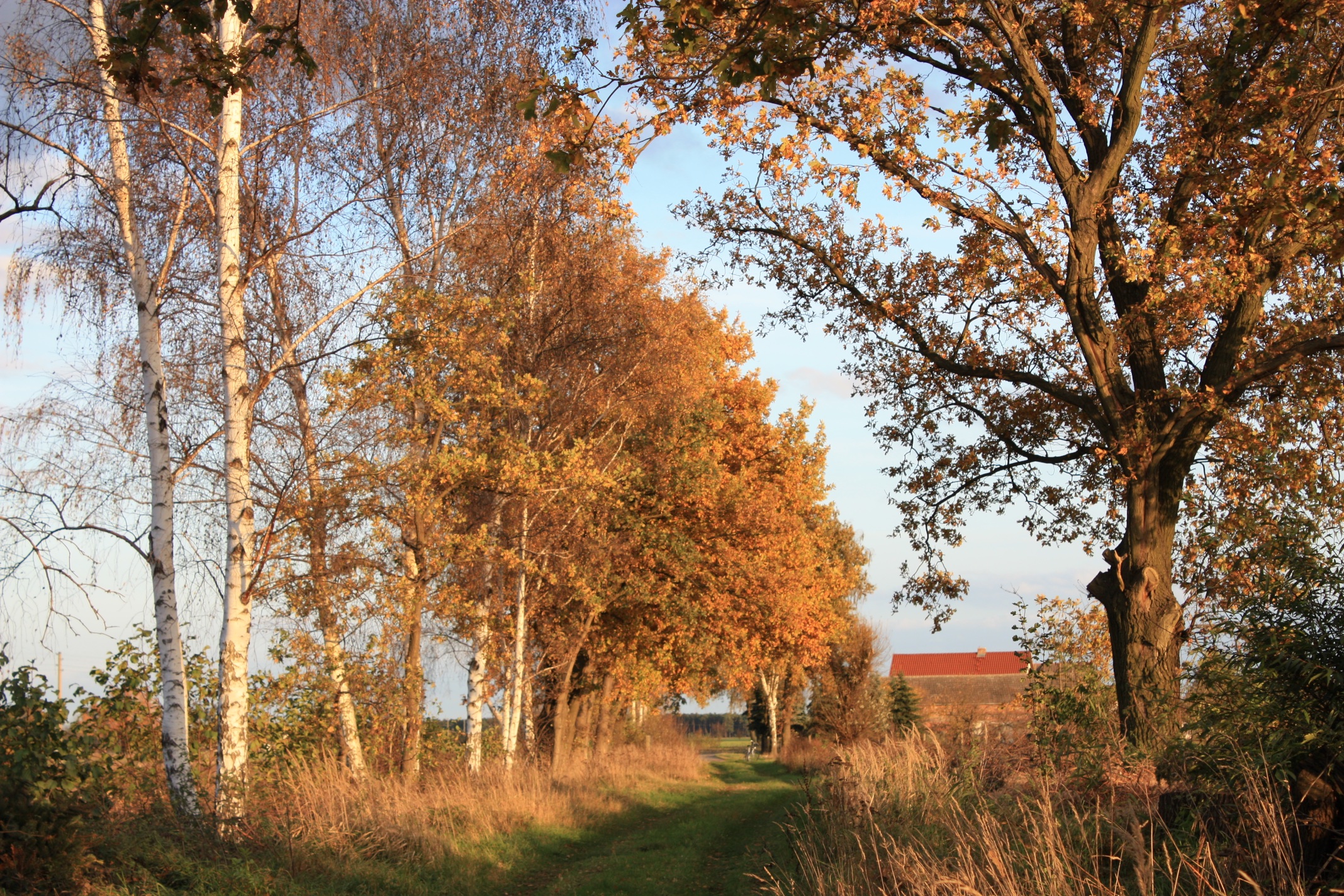 jaenschwalde-peitzer-strasze-r-karge_