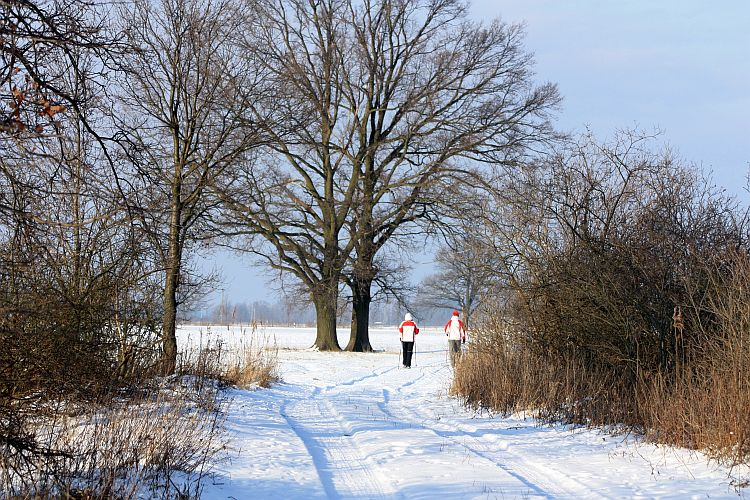 jaenschwalder-winterwanderung-r-karge_