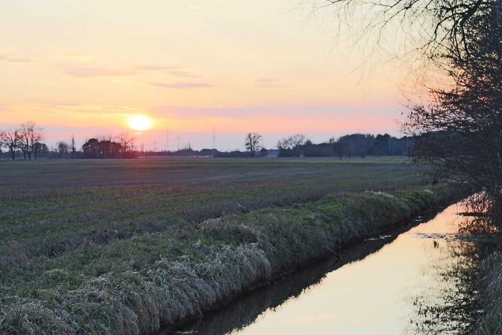 janschwalde-abends-in-den-lasszingswiesen-r-karge_