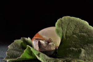 kleinplastik-11-k-f-muehler-2