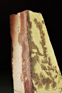 kleinplastik-natur-17-k-f-muehler-2