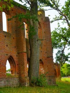 klosterruine-boizenburg-3-h-mucc88ller