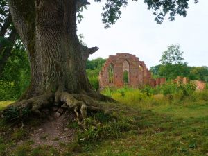 klosterruine-boizenburg-6-h-mucc88ller