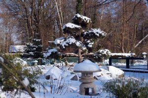 koi-garten-burg-1-h-mucc88ller