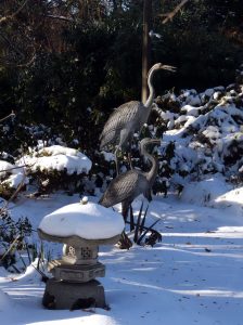 koi-garten-burg-10-h-mucc88ller