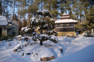 koi-garten-burg-14-h-mucc88ller