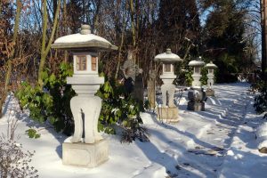 koi-garten-burg-2-h-mucc88ller