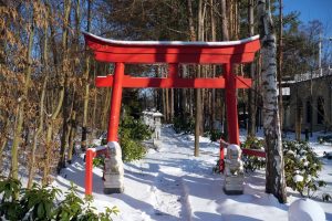 koi-garten-burg-3-h-mucc88ller