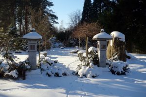 koi-garten-burg-7-h-mucc88ller