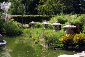 koigarten-in-burg-10-h-mucc88ller