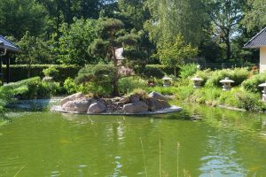 koigarten-in-burg-11-h-mucc88ller