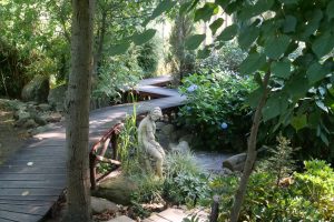 koigarten-in-burg-3-h-mucc88ller