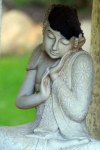 koigarten-in-burg-6-h-mucc88ller